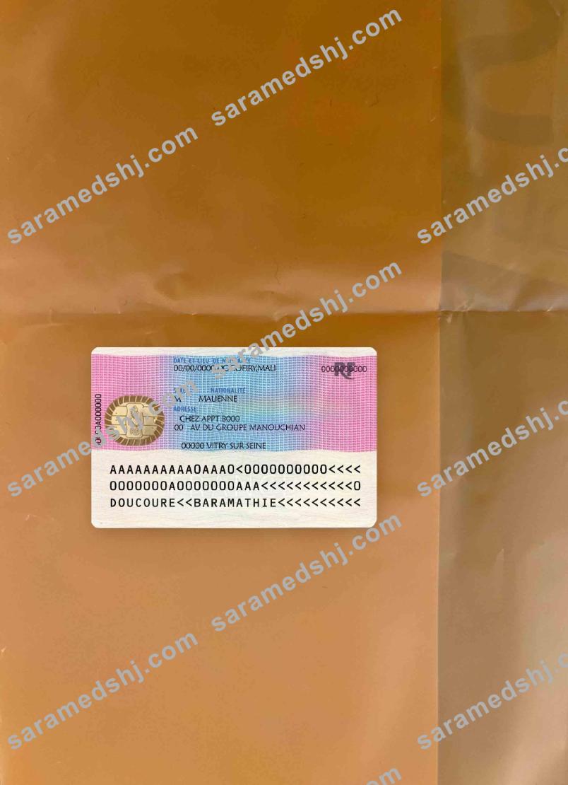 France Residence permit (Titre de séjour) photolook BACK